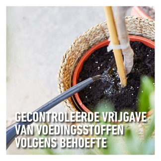 Compo Mediterrane planten mest | Compo | 2 kg (65 m²) 2615302017 K170115950 - 5