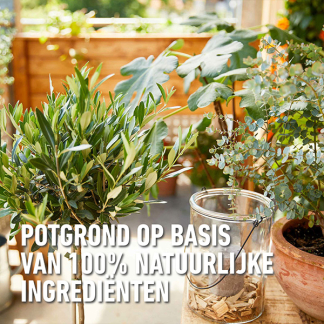 Compo Mediterrane potgrond | Compo | 20 liter (Bio-label) 2822608017 K170116278 - 5