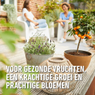 Compo Mediterrane potgrond | Compo | 20 liter (Bio-label) 2822608017 K170116278 - 6