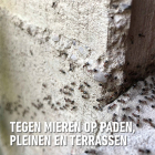 Compo Mierenkorrels | Compo | 150 gram (Granulaat) 2325712017 K170501698 - 3