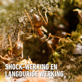 Compo Mierenkorrels | Compo | 400 gram 2325802017 K170501699 - 5