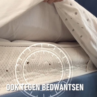 Compo Mierenspray | Compo | 400 ml (Gebruiksklaar) 2483902017 A170115781 - 5