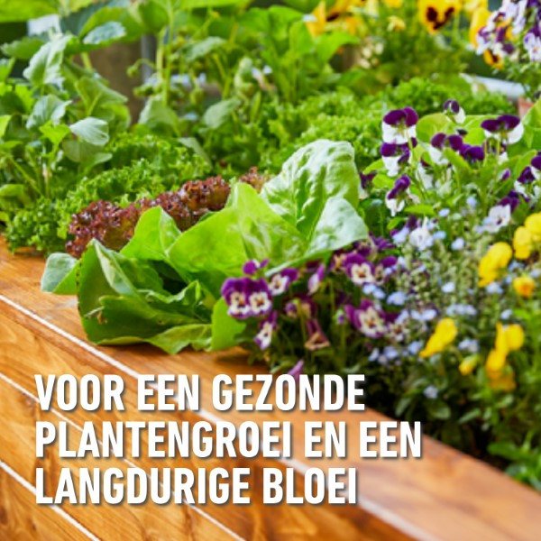 Compo Moestuin bodemverbeteraar | Compo | 40 liter (Natuurlijk, Turfvrij) 2074804017 K170115775 - 5