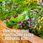 Compo Moestuin bodemverbeteraar | Compo | 40 liter (Natuurlijk, Turfvrij) 2074804017 K170115775 - 5