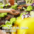 Compo Moestuinmest | Compo | 0.75 kg (Organisch, Hersluitbaar) 2026702017 K170116090 - 7