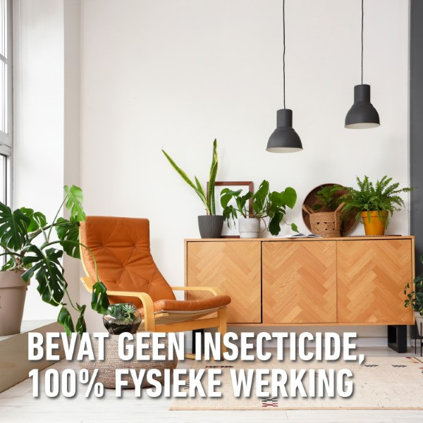 Compo Muggen en wespen spray | Compo | 400 ml (Gebruiksklaar) 2483802017 K170116084 - 3