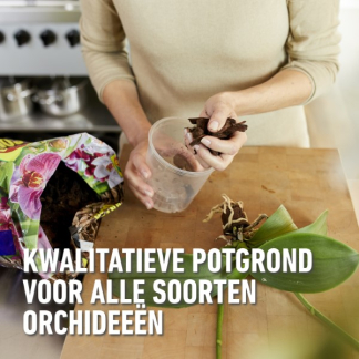 Compo Orchidee potgrond | Compo | Sana | 5 liter (Meststof) 1161152017 K170115773 - 3