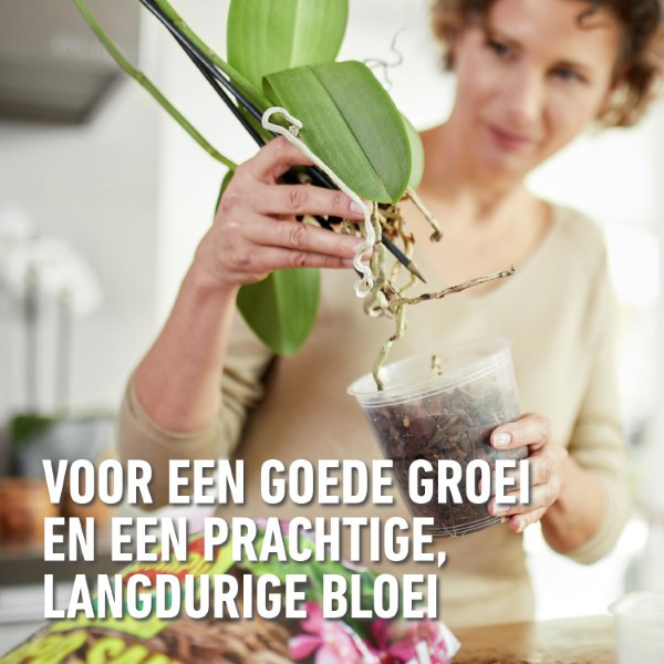 Compo Orchidee potgrond | Compo | Sana | 5 liter (Meststof) 1161152017 K170115773 - 6