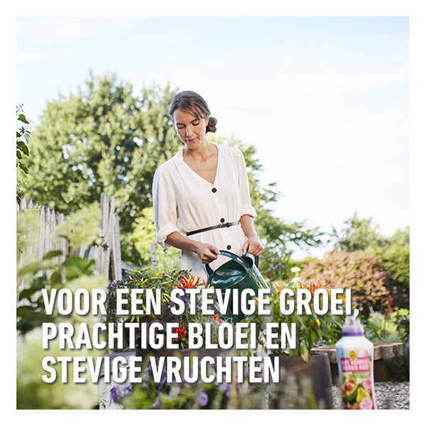 Compo Plantenvoeding | Compo | 500 ml (Roze korrels, Vloeibaar, Universeel) 2352412017 K170115952 - 6