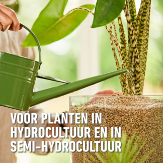 Compo Plantenvoeding | Compo | Granuplant® | 500 ml (Natuurlijk, Vloeibaar) 2377702017 K170116061 - 6