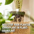 Compo Plantenvoeding | Compo | Granuplant® | 500 ml (Natuurlijk, Vloeibaar) 2377702017 K170116061 - 7