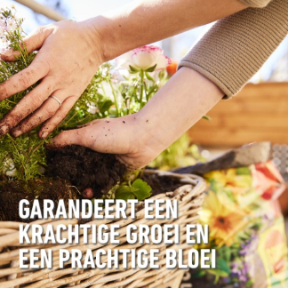 Compo Potgrond | Compo | 10 liter (Universeel, Meststof) 1113128017 K170116262 - 6