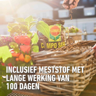 Compo Potgrond | Compo | 20 liter (Universeel, Meststof) 1114224017 K170116263 - 3