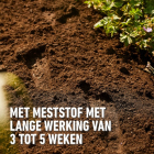 Compo Potgrond | Compo | 40 liter (Universeel, Natuurlijk, Hersluitbaar) 2141714017 K170116261 - 4