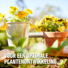 Compo Potgrond | Compo | 40 liter (Universeel, Natuurlijk, Hersluitbaar) 2141714017 K170116261 - 5