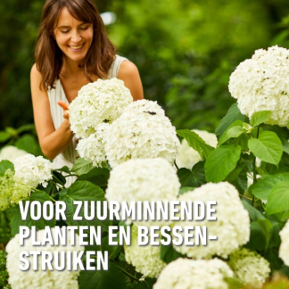Compo Rodo, hortensia en azalea mest | Compo | 2 kg (Hersluitbaar) 1557112017 2561102017 K170115107 - 3
