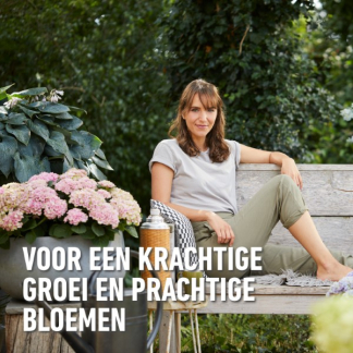 Compo Rodo, hortensia en azalea mest | Compo | 2 kg (Hersluitbaar) 1557112017 2561102017 K170115107 - 6