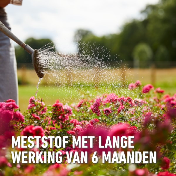 Compo Rozen mest | Compo | 2 kg (Hersluitbaar) 1586212017 2561002017 K170116275 - 3