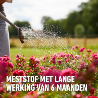 Compo Rozen mest | Compo | 2 kg (Hersluitbaar) 1586212017 2561002017 K170116275 - 3
