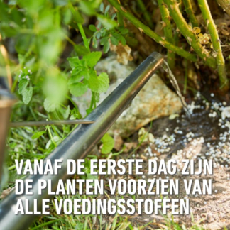 Compo Rozen mest | Compo | 2 kg (Hersluitbaar) 1586212017 2561002017 K170116275 - 4