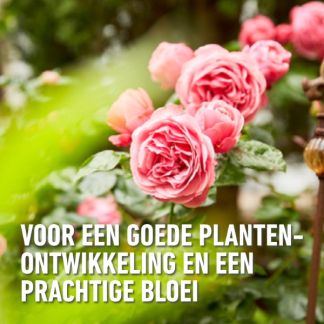 Compo Rozen mest | Compo | 2 kg (Hersluitbaar) 1586212017 2561002017 K170116275 - 6