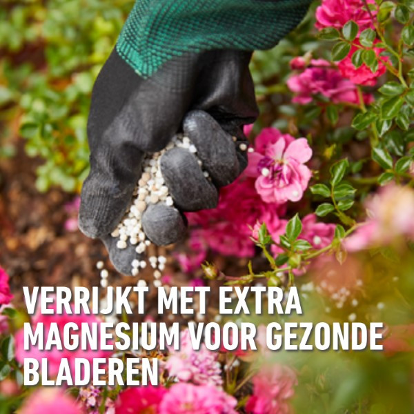 Compo Rozen mest | Compo | 850 gram (Hersluitbaar) 2536112017 2560402017 K170116273 - 6