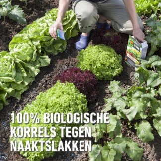 Compo Slakkenkorrels | Compo | 2 kg (Bio-label, Natuurlijk, 400 m²) 2364702017 K170115122 - 2