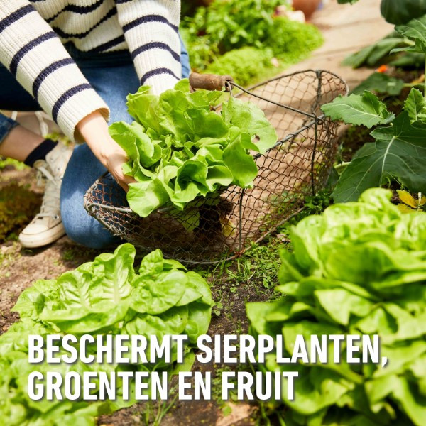 Compo Slakkenkorrels | Compo | 400 gram (Natuurlijk, 80 m²) 2364402017 K170115119 - 5