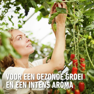 Compo Tomaten en groenten potgrond | Compo | 20 liter (Bio-label, Organisch) 2179708017 K170115762 - 7