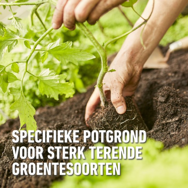 Compo Tomaten en groenten potgrond | Compo | 20 liter (Organisch) 2179708017 K170115762 - 4