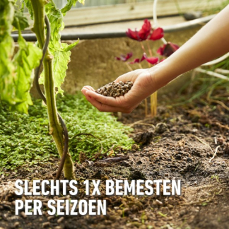 Compo Tomaten en kruiden mest | Compo | 1.2 kg (Organisch, Hersluitbaar) 2037302017 K170116091 - 8