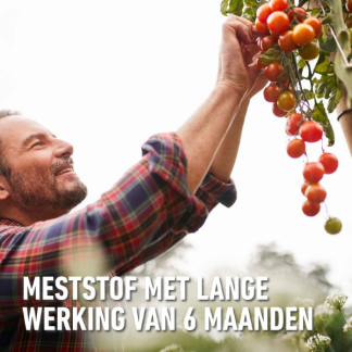Compo Tomaten mest | Compo | 0.85 kg (14 m², Hersluitbaar) 2536312017/2536312017 K170115792 - 4