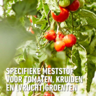 Compo Tomaten mest | Compo | 14 m² (Hersluitbaar, 850 gram) 2536312017/2536312017 K170115792 - 3