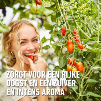 Compo Tomaten mest | Compo | 14 m² (Hersluitbaar, 850 gram) 2536312017/2536312017 K170115792 - 6