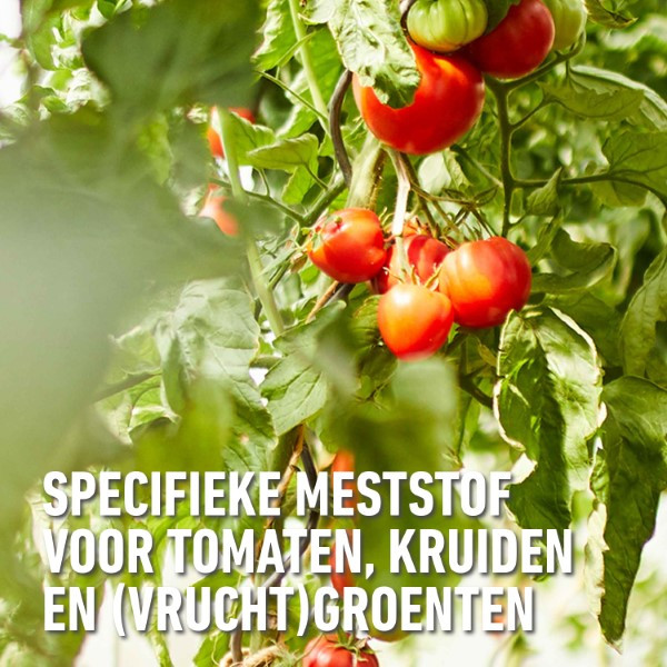 Compo Tomaten mest | Compo | 850 gram (14 m², Hersluitbaar) 2536312017/2536312017 K170115792 - 3