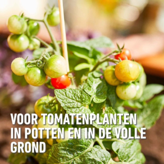 Compo Tomaten voeding | Compo | 1 liter (Natuurlijk, Vloeibaar) 2224702017 K170116092 - 4