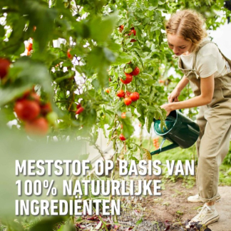 Compo Tomaten voeding | Compo | 1 liter (Natuurlijk, Vloeibaar) 2224702017 K170116092 - 5