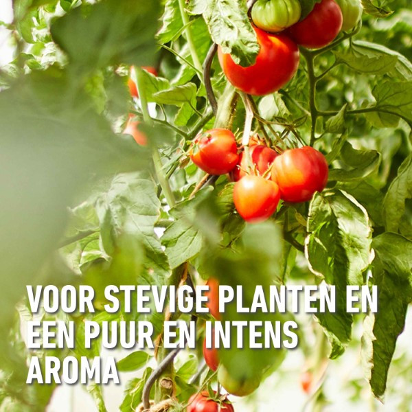 Compo Tomaten voeding | Compo | 1 liter (Natuurlijk, Vloeibaar) 2224702017 K170116092 - 7