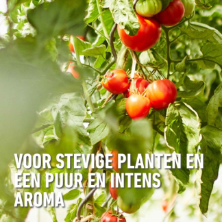 Compo Tomaten voeding | Compo | 1 liter (Natuurlijk, Vloeibaar) 2224702017 K170116092 - 7