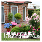 Compo Tuinmest | Compo | 2.5 kg (Roze korrel, Universeel) 2352102017 K170115948 - 5