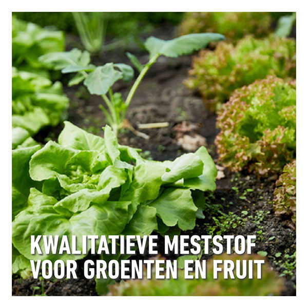 Compo Tuinmest | Compo | 2 kg (Blauwe korrel, Universeel) 1318202017 K170115949 - 3