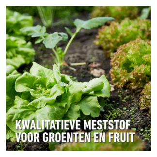 Compo Tuinmest | Compo | 2 kg (Blauwe korrel, Universeel) 1318202017 K170115949 - 3