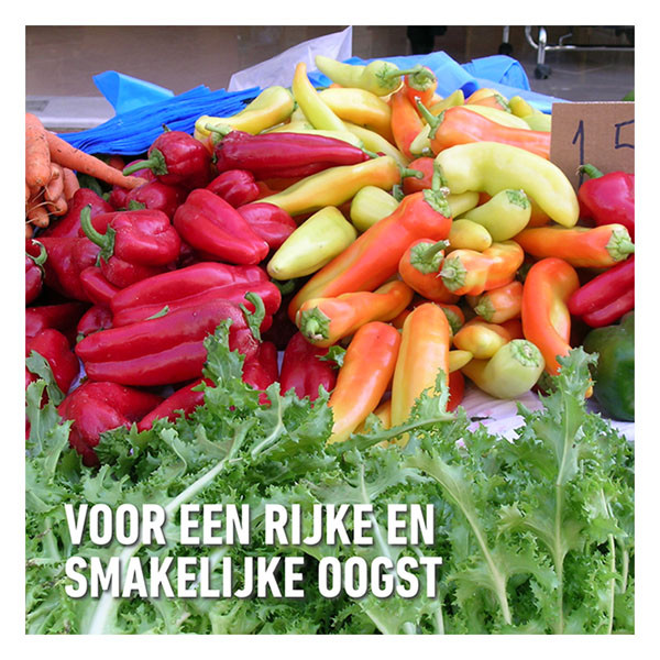 Compo Tuinmest | Compo | 2 kg (Blauwe korrel, Universeel) 1318202017 K170115949 - 5