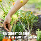 Compo Tuinmest | Compo | 3.5 kg (Universeel, Organisch, Hersluitbaar) 2037702017 K170116096 - 8