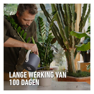 Compo Tuinmest | Compo | 30 stuks (Roze korrel, Staafjes, Universeel) 2352602017 K170115954 - 4