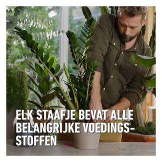 Compo Tuinmest | Compo | 30 stuks (Roze korrel, Staafjes, Universeel) 2352602017 K170115954 - 5