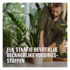 Compo Tuinmest | Compo | 30 stuks (Roze korrel, Staafjes, Universeel) 2352602017 K170115954 - 5