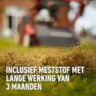 Compo Verticuteermix | Compo | 150 m² (Graszaad herstel, Meststof, Bodemverbeteraar, 4 kg) 2030702017 K170115780 - 5