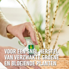 Compo Voedingskuur voor kamerplanten | Compo | 150 ml (5 x 30 ml) 2030322017 K170115788 - 3