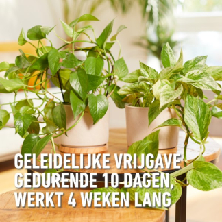 Compo Voedingskuur voor kamerplanten | Compo | 150 ml (5 x 30 ml) 2030322017 K170115788 - 4